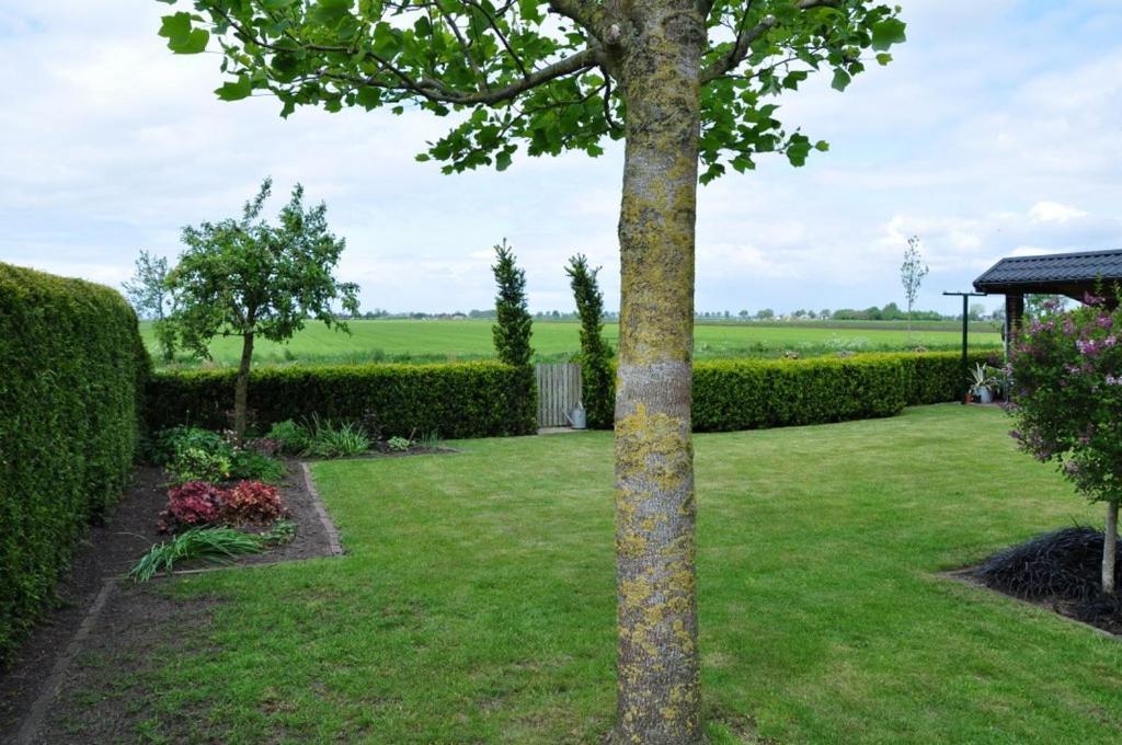 Beukenlaan Bed & Breakfast Rouveen Exterior photo